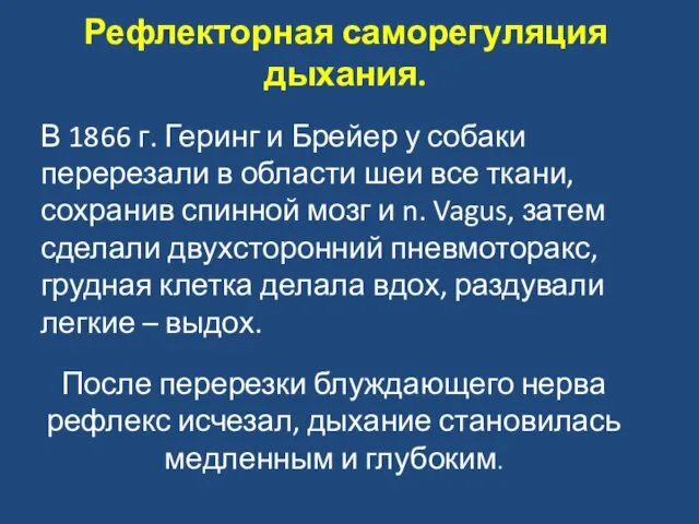 Рефлекторная саморегуляция дыхания. В 1866 г. Геринг и Брейер у собаки