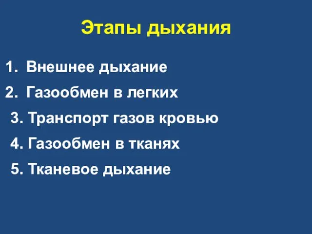 Этапы дыхания Внешнее дыхание Газообмен в легких 3. Транспорт газов кровью