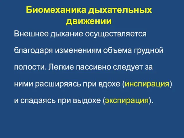 Биомеханика дыхательных движении Внешнее дыхание осуществляется благодаря изменениям объема грудной полости.