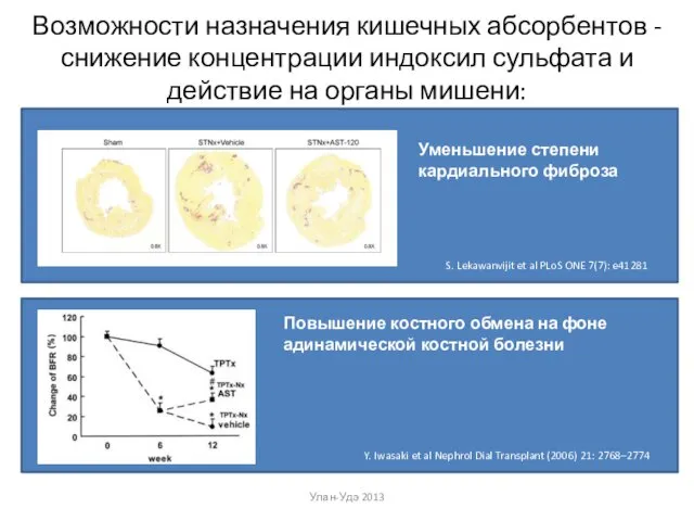 Возможности назначения кишечных абсорбентов - снижение концентрации индоксил сульфата и действие на органы мишени: Улан-Удэ 2013
