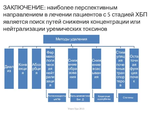 Улан-Удэ 2013 ЗАКЛЮЧЕНИЕ: наиболее перспективным направлением в лечении пациентов с 5