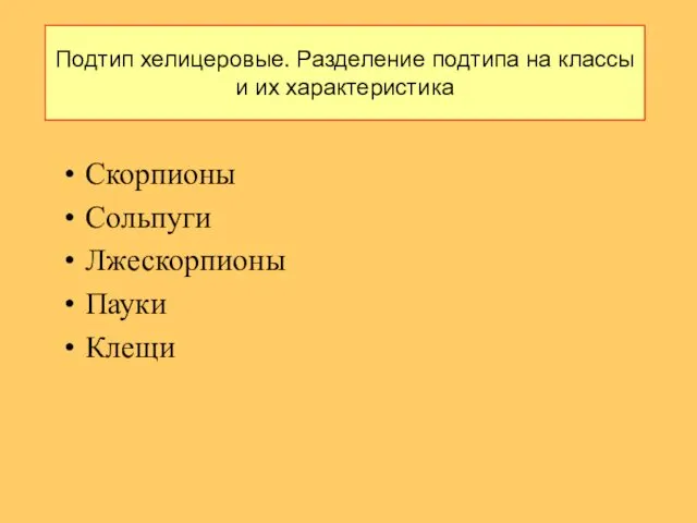 Подтип хелицеровые. Разделение подтипа на классы и их характеристика Скорпионы Сольпуги Лжескорпионы Пауки Клещи