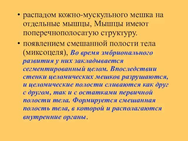 распадом кожно-мускульного мешка на отдельные мышцы, Мышцы имеют поперечнополосатую структуру. появлением