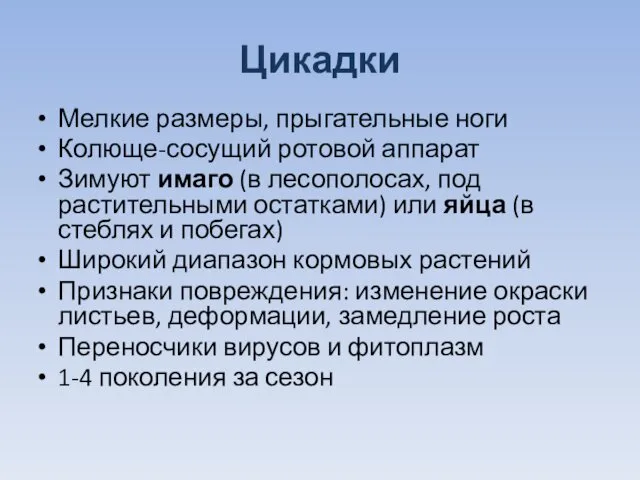 Цикадки Мелкие размеры, прыгательные ноги Колюще-сосущий ротовой аппарат Зимуют имаго (в