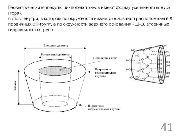 Геометрически молекулы циклодекстринов имеют форму усеченного конуса (тора), полого внутри, в