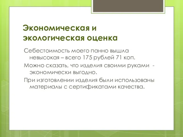 Экономическая и экологическая оценка Себестоимость моего панно вышла невысокая – всего