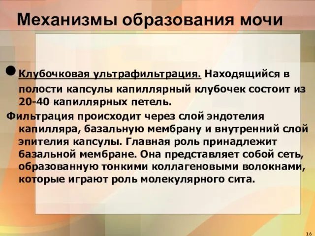 Механизмы образования мочи Клубочковая ультрафильтрация. Находящийся в полости капсулы капиллярный клубочек