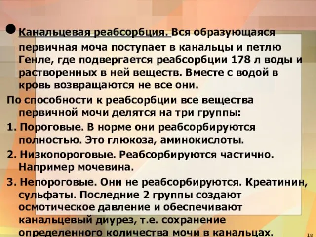 Канальцевая реабсорбция. Вся образующаяся первичная моча поступает в канальцы и петлю