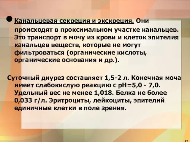 Канальцевая секреция и экскреция. Они происходят в проксимальном участке канальцев. Это