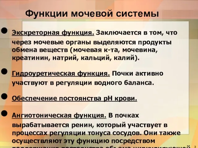 Функции мочевой системы Экскреторная функция. Заключается в том, что через мочевые