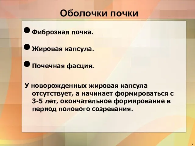 Оболочки почки Фиброзная почка. Жировая капсула. Почечная фасция. У новорожденных жировая