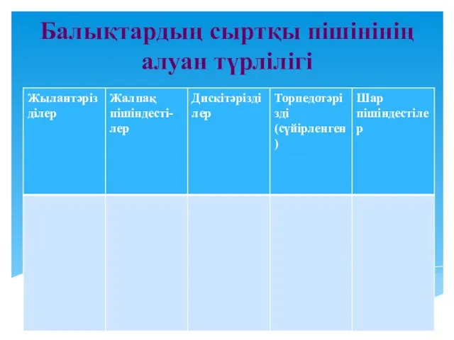 Балықтардың сыртқы пішінінің алуан түрлілігі