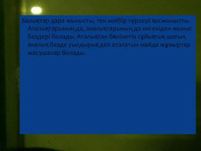 Балықтар дара жынысты, тек кейбір түрлері қосжынысты.Аталықтарының да, аналықтарының да екі-екіден