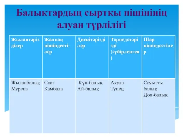 Балықтардың сыртқы пішінінің алуан түрлілігі