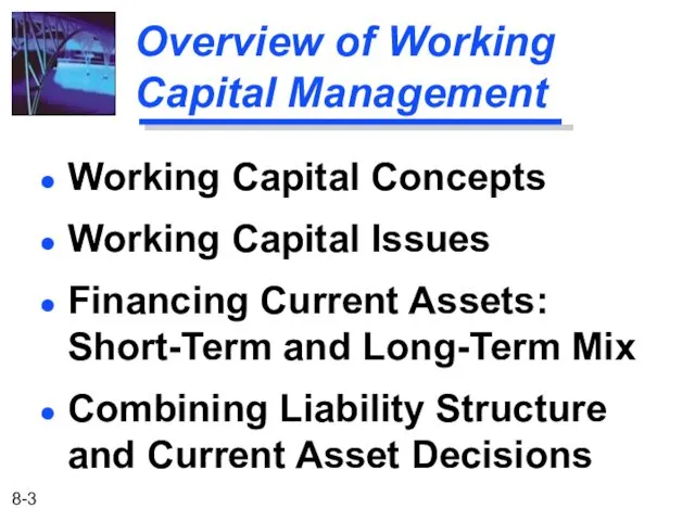 Overview of Working Capital Management Working Capital Concepts Working Capital Issues