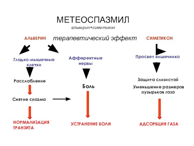 МЕТЕОСПАЗМИЛ альверин+симетикон терапевтический эффект АЛЬВЕРИН Афферентные нервы Гладко-мышечные клетки Расслабление Боль