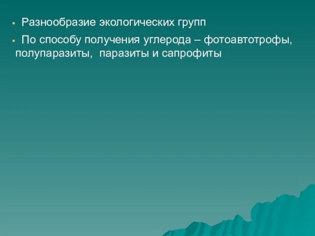 Разнообразие экологических групп По способу получения углерода – фотоавтотрофы, полупаразиты, паразиты и сапрофиты