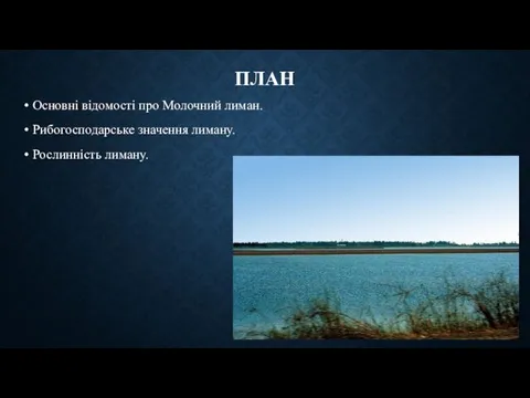 ПЛАН Основні відомості про Молочний лиман. Рибогосподарське значення лиману. Рослинність лиману.