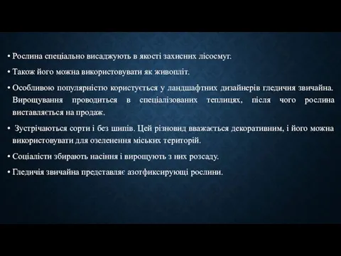 Рослина спеціально висаджують в якості захисних лісосмуг. Також його можна використовувати