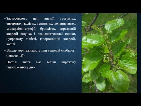 Застосовують при анемії, гастритах, ентеритах, колітах, гепатитах, холециститах, міокардіодистрофії, бронхітах, виразковій