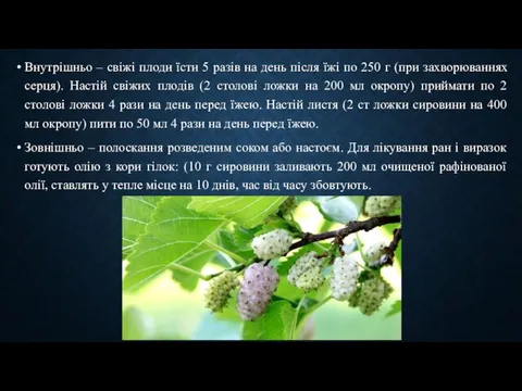 Внутрішньо – свіжі плоди їсти 5 разів на день після їжі