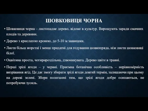 ШОВКОВИЦЯ ЧОРНА Шовковиця чорна – листопадне дерево, відоме в культур. Вирощують