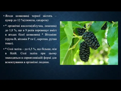 Ягоди шовковиці чорної містять – цукор до 12 %(глюкоза, сахароза) *