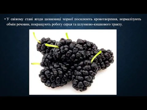 У свіжому стані ягоди шовковиці чорної посилюють кровотворення, нормалізують обмін речовин,