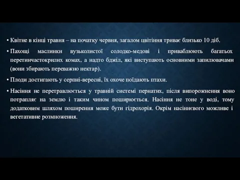 Квітне в кінці травня – на початку червня, загалом цвітіння триває