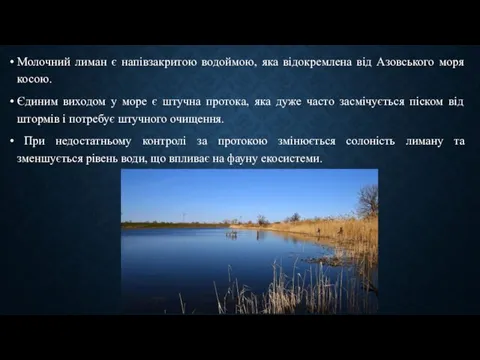 Молочний лиман є напівзакритою водоймою, яка відокремлена від Азовського моря косою.