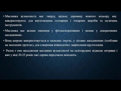 Маслинка вузьколиста має тверду, щільну деревину жовтого кольору, яку використовують для