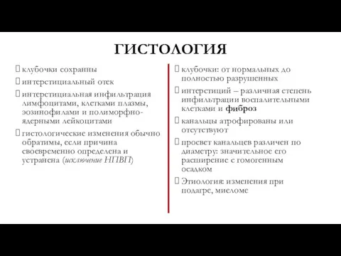 ГИСТОЛОГИЯ клубочки сохранны интерстициальный отек интерстициальная инфильтрация лимфоцитами, клетками плазмы, эозинофилами