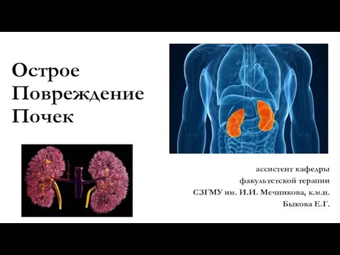 Острое Повреждение Почек ассистент кафедры факультетской терапии СЗГМУ им. И.И. Мечникова, к.м.н. Быкова Е.Г.