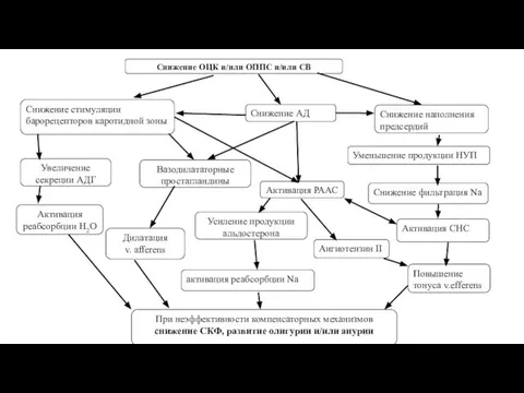 Снижение ОЦК и/или ОППС и/или СВ Снижение стимуляции барорецепторов каротидной зоны