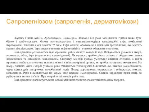 Сапролегніозом (сапролегнія, дерматомікози) Збудник Гриби Achilla, Aphanomyces, Saprolegnia. Залежно від умов