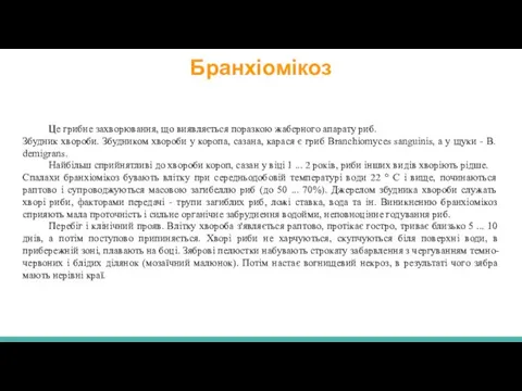 Бранхіомікоз Це грибне захворювання, що виявляється поразкою жаберного апарату риб. Збудник