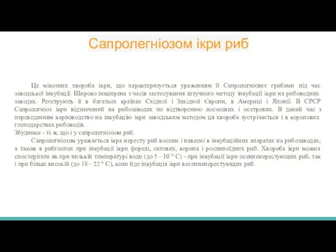 Сапролегніозом ікри риб Це мікозних хвороба ікри, що характеризується ураженням її