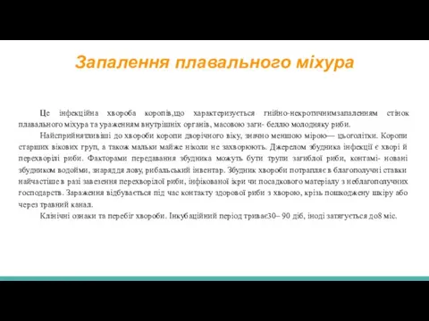 Запалення плавального міхура Це інфекційна хвороба коропів,що характеризується гнійно-некротичнимзапаленням стінок плавального