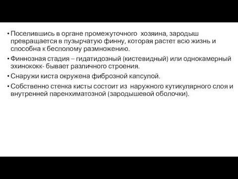 Поселившись в органе промежуточного хозяина, зародыш превращается в пузырчатую финну, которая