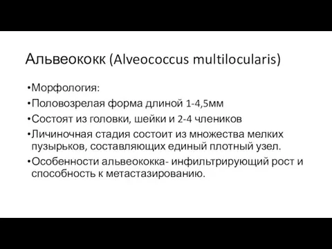 Альвеококк (Alveococcus multilocularis) Морфология: Половозрелая форма длиной 1-4,5мм Состоят из головки,