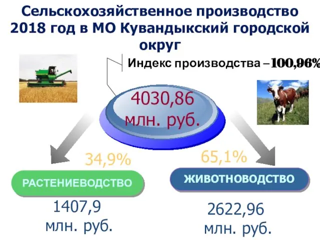 РАСТЕНИЕВОДСТВО ЖИВОТНОВОДСТВО 1407,9 млн. руб. 34,9% Индекс производства – 100,96% 4030,86