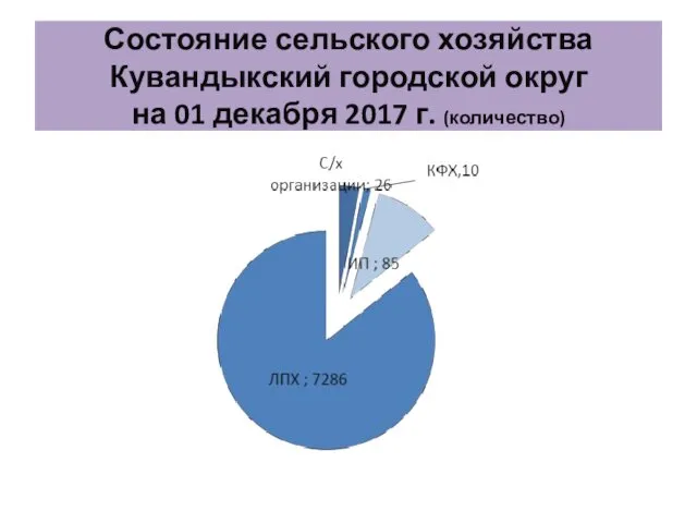 Состояние сельского хозяйства Кувандыкский городской округ на 01 декабря 2017 г. (количество)