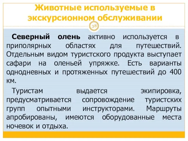 Животные используемые в экскурсионном обслуживании Северный олень активно используется в приполярных