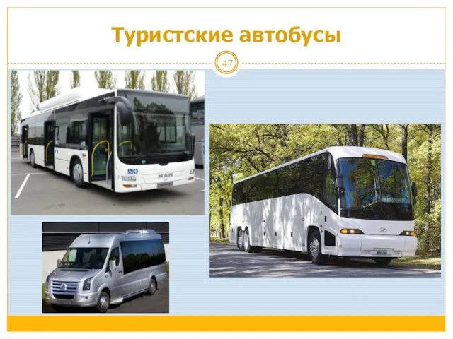 Туристские автобусы