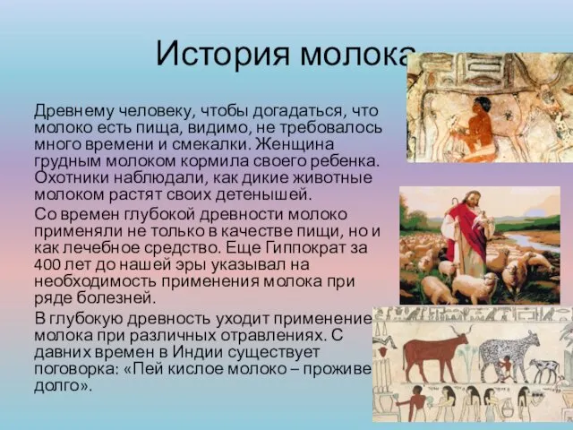 История молока Древнему человеку, чтобы догадаться, что молоко есть пища, видимо,