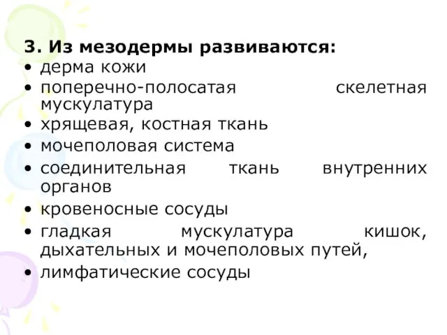 3. Из мезодермы развиваются: дерма кожи поперечно-полосатая скелетная мускулатура хрящевая, костная