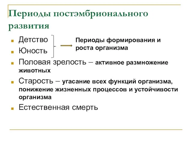 Периоды постэмбрионального развития Детство Юность Половая зрелость – активное размножение животных