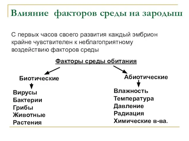 Влияние факторов среды на зародыш Факторы среды обитания Биотические Абиотические Вирусы