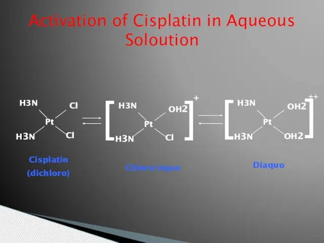 Activation of Cisplatin in Aqueous Soloution