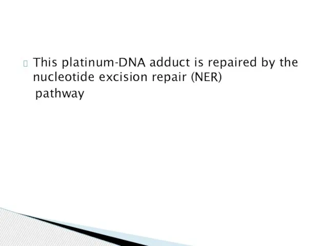 This platinum-DNA adduct is repaired by the nucleotide excision repair (NER) pathway